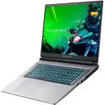 Ноутбук Machenike L17 Pulsar JJ00G600ERU (17.3 ", FHD 1920x1080 (16:9), Core i5, 16 Гб, SSD)