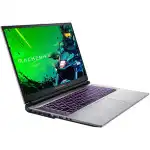Ноутбук Machenike L17 Pulsar JJ00G600ERU (17.3 ", FHD 1920x1080 (16:9), Core i5, 16 Гб, SSD)