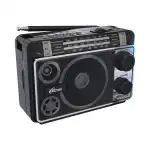Портативная колонка Ritmix Радиоприемник портативный RPR-171