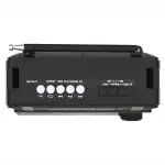 Портативная колонка Ritmix Радиоприемник портативный RPR-171