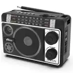 Портативная колонка Ritmix Радиоприемник портативный RPR-171