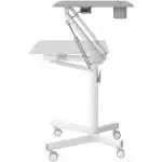 Cactus CS-FDS101WGY