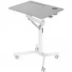 Cactus CS-FDS101WGY