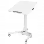 Cactus CS-FDS109WWT
