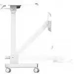 Cactus CS-FDS109WWT