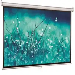 Экран ViewScreen WSC-1104