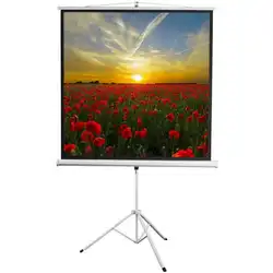 Экран Digis Kontur-D DSKD-1103