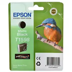 Струйный картридж Epson C13T15984010