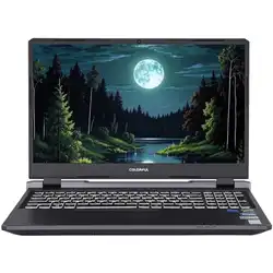 Ноутбук Colorful EVOL P15 24 A10205400055 (15.6 ", FHD 1920x1080 (16:9), Core i5, 16 Гб, SSD)