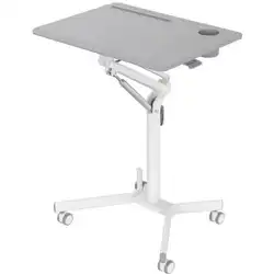 Cactus CS-FDS101WGY