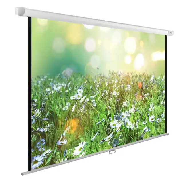 Экран Cactus CS-PSWE-200X150-WT