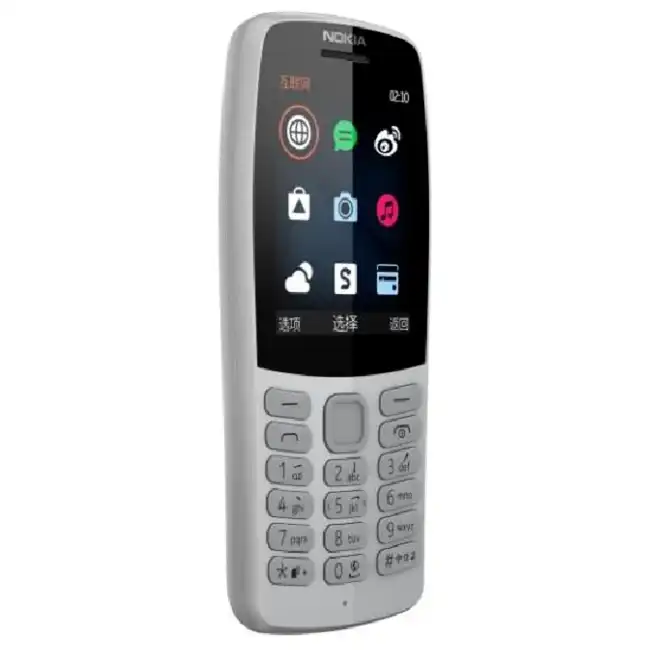 Мобильный телефон Nokia 210 DS Grey 1318931