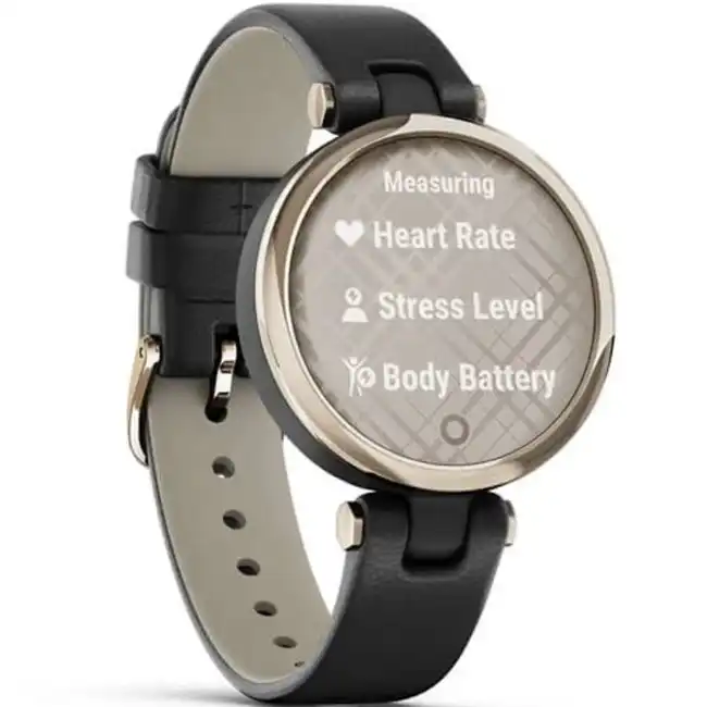 Garmin Lily Classic Black 010-02384-B1