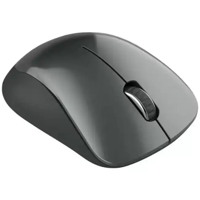 Мышь Canyon CNE-CMSW11Black