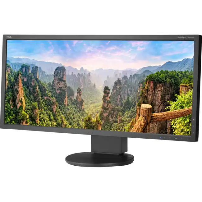 Монитор NEC EA295WMi-BK (29 ", IPS, 2560x1080 (21:9), 60 Гц)