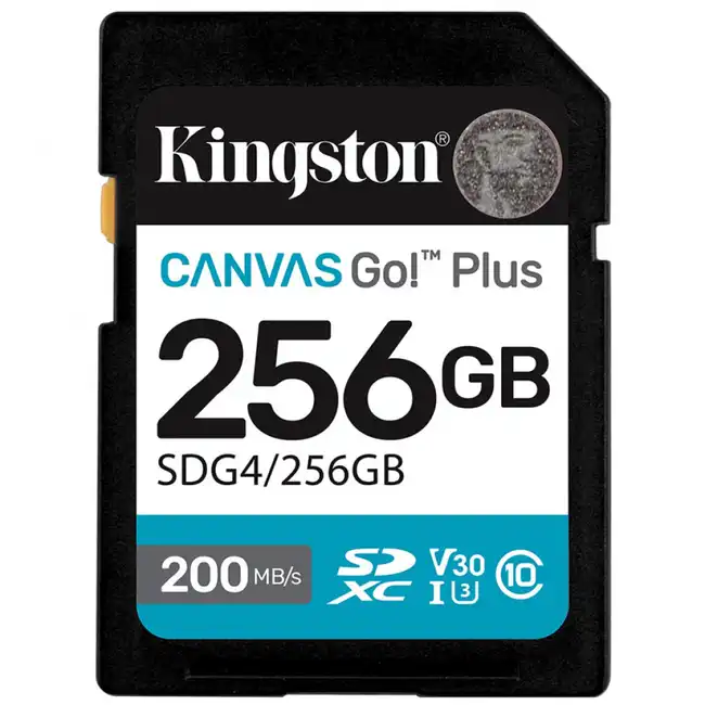 Флеш (Flash) карты Kingston Canvas Go Plus Gen4 C10 SDG4/256GB (256 ГБ)