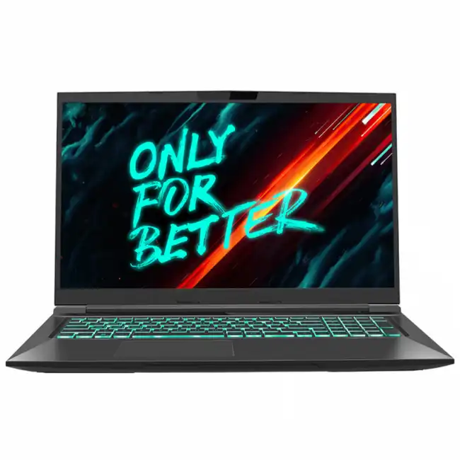 Ноутбук Maibenben X668 X668QSJELBRE0 (17.3 ", WQHD 2560x1440 (16:9), Core i7, 8 Гб, SSD)
