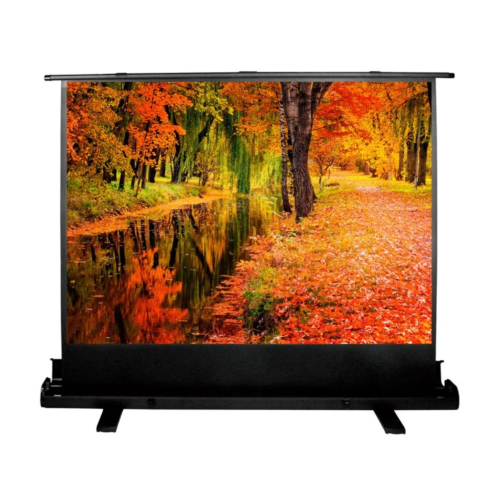 Проекционный экран Cactus Floor Expert CS-PSFLE-200X150 4:3