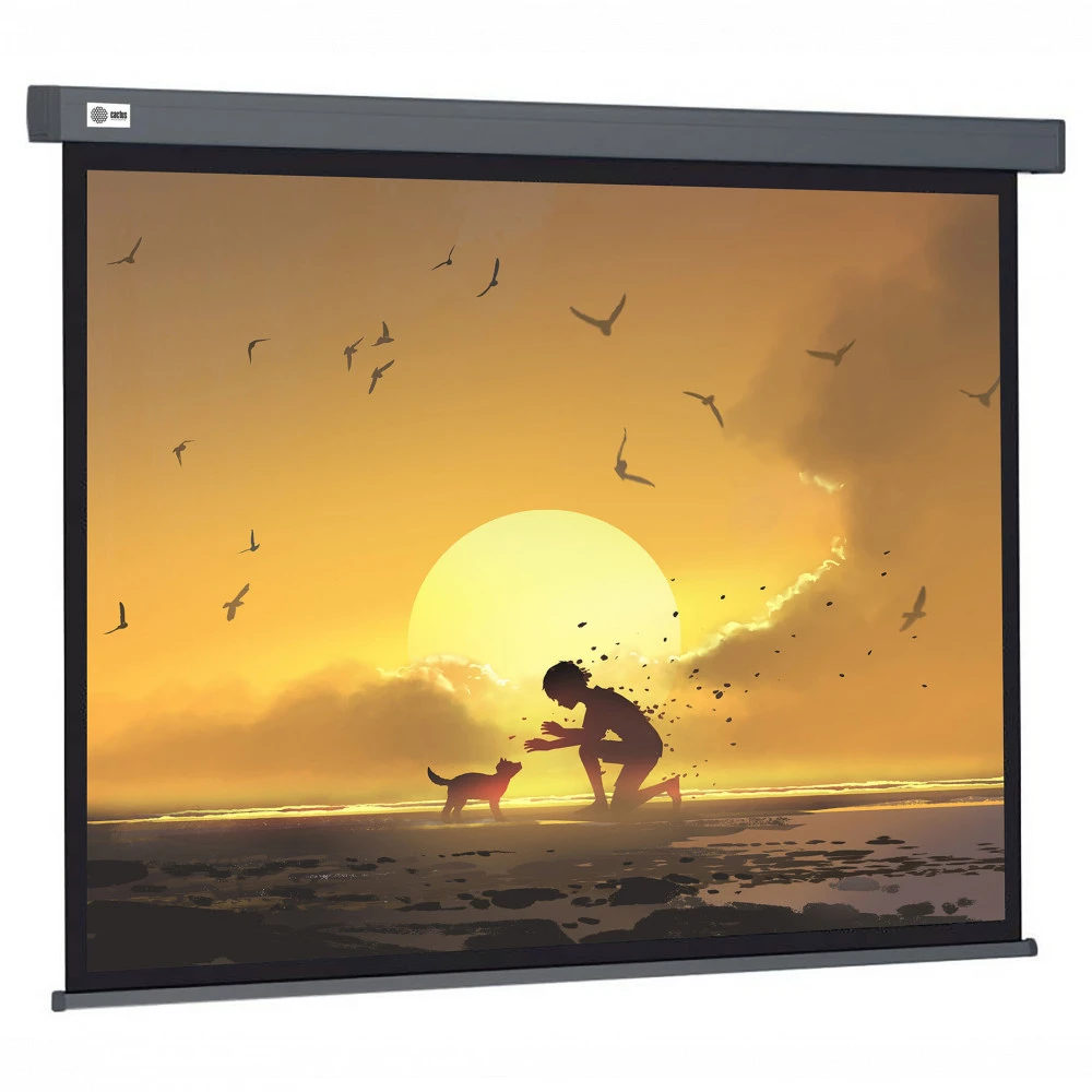 Проекционный экран Cactus CS-PSW-124X221-SG