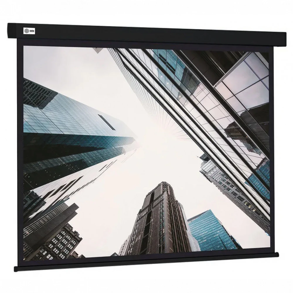 Проекционный экран Cactus CS-PSW-124X221-BK