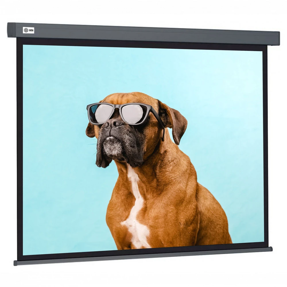 Проекционный экран Cactus CS-PSW-149X265-SG