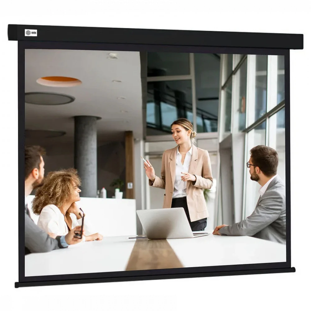 Проекционный экран Cactus CS-PSW-168X299-BK