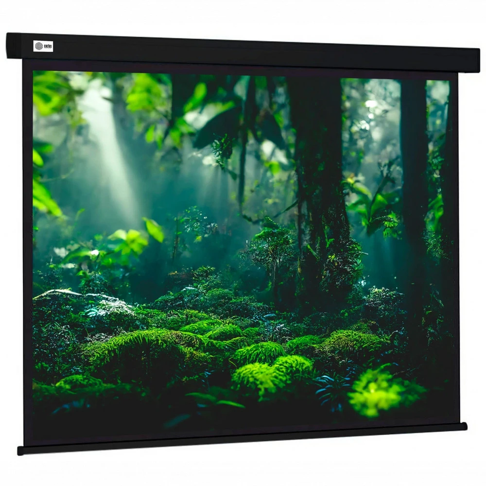 Проекционный экран Cactus CS-PSW-213X213-BK