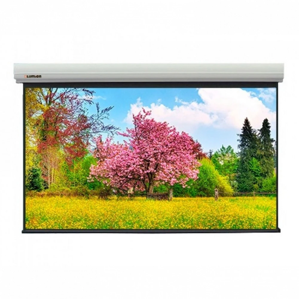 Проекционный экран Lumien Master Large Control LMLC-100117A