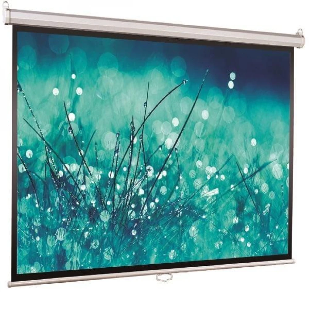 Проекционный экран ViewScreen WSC-1103