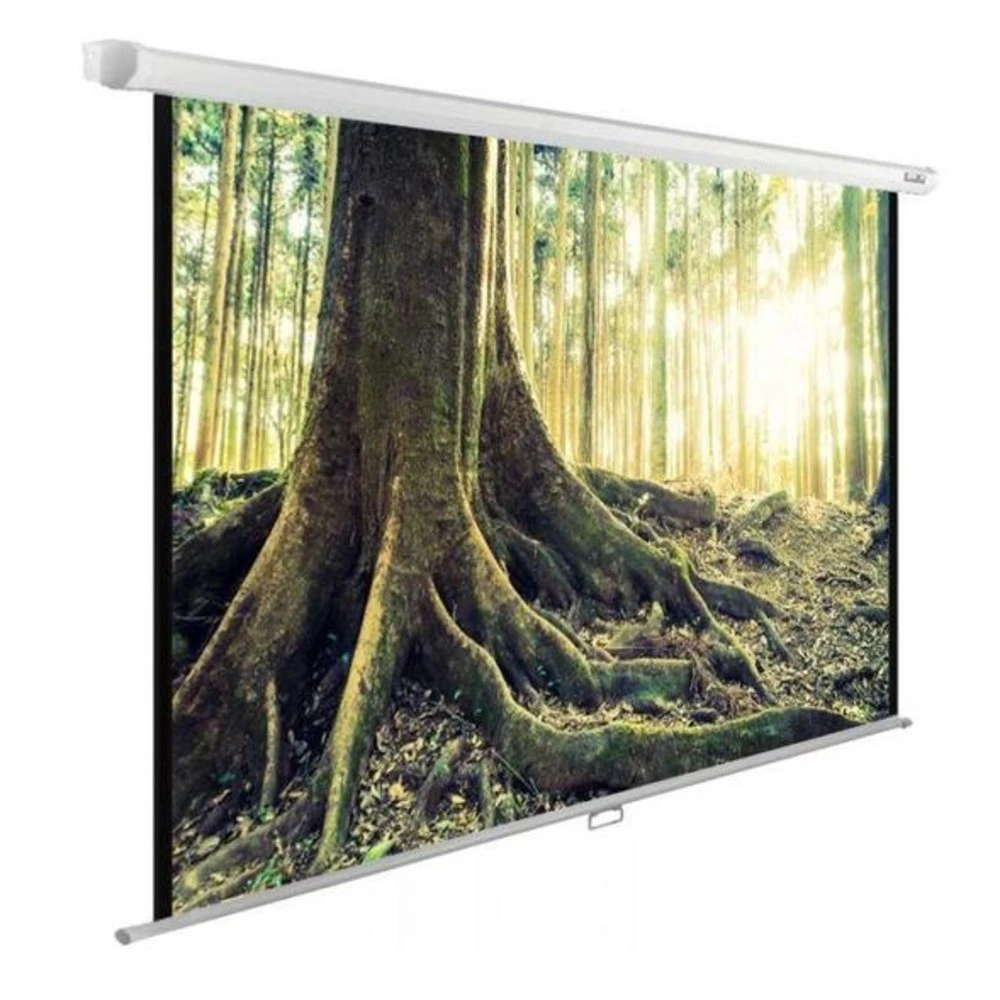 Проекционный экран Cactus CS-PSWE-220X220-WT