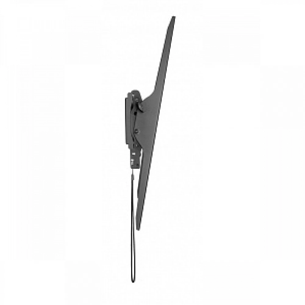 Опция к телевизору Digis DSM-P1096T
