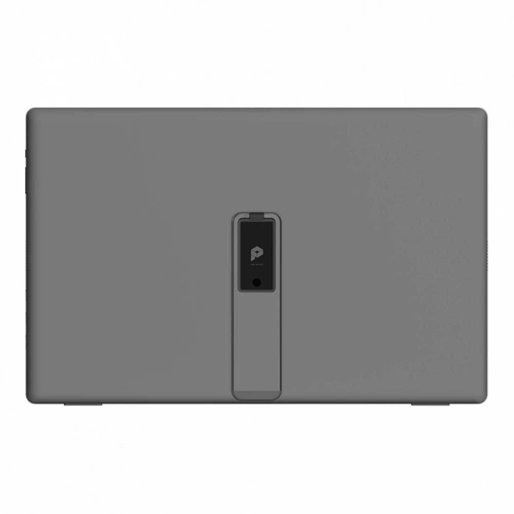 Монитор MSI PRO MP161 E2 15.6 ", IPS, Full HD 1920x1080 (16:9), 60 Гц