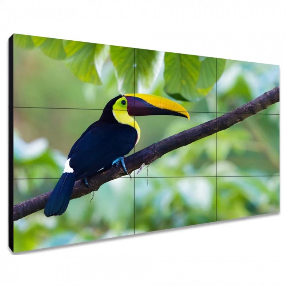 LED / LCD панель Exell EXPD-WI453AM 49 "
