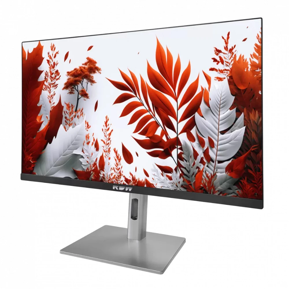 Монитор RDW Computers 2407 2407K/F29B3120V2A1B 23.8 ", IPS, Full HD 1920x1080 (16:9), 120 Гц