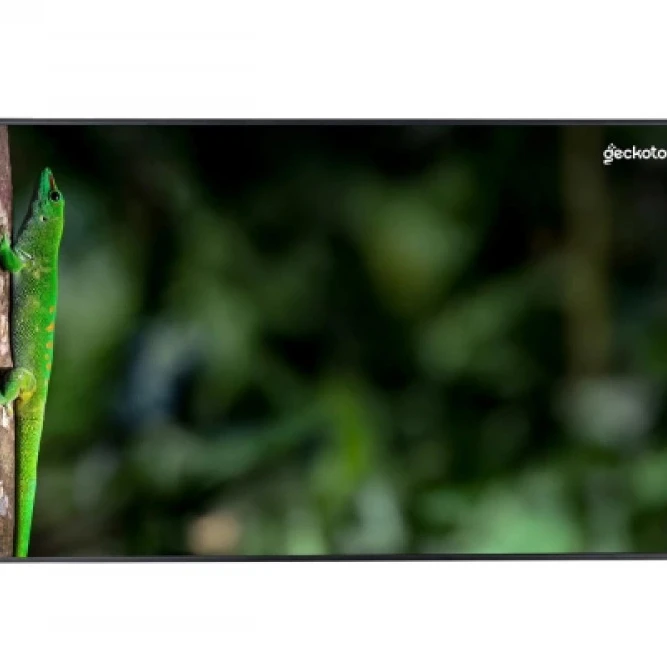LED / LCD панель Geckotouch 65DCR_v2 65 "
