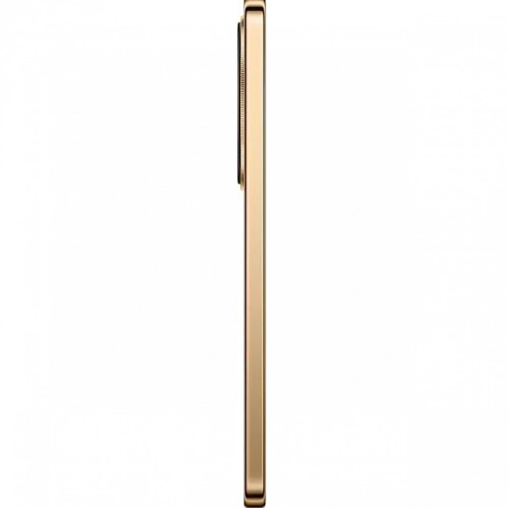 Смартфон Honor X9d 12/256Gb Reddish Brown 5109BYPX 256 Гб, 12 Гб