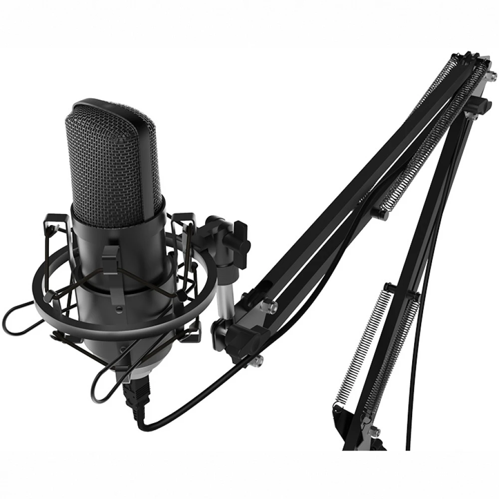 Микрофон Ritmix RDM-169 USB Black