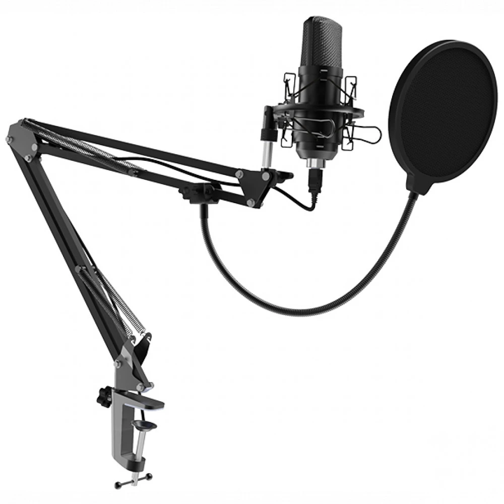 Микрофон Ritmix RDM-169 USB Black