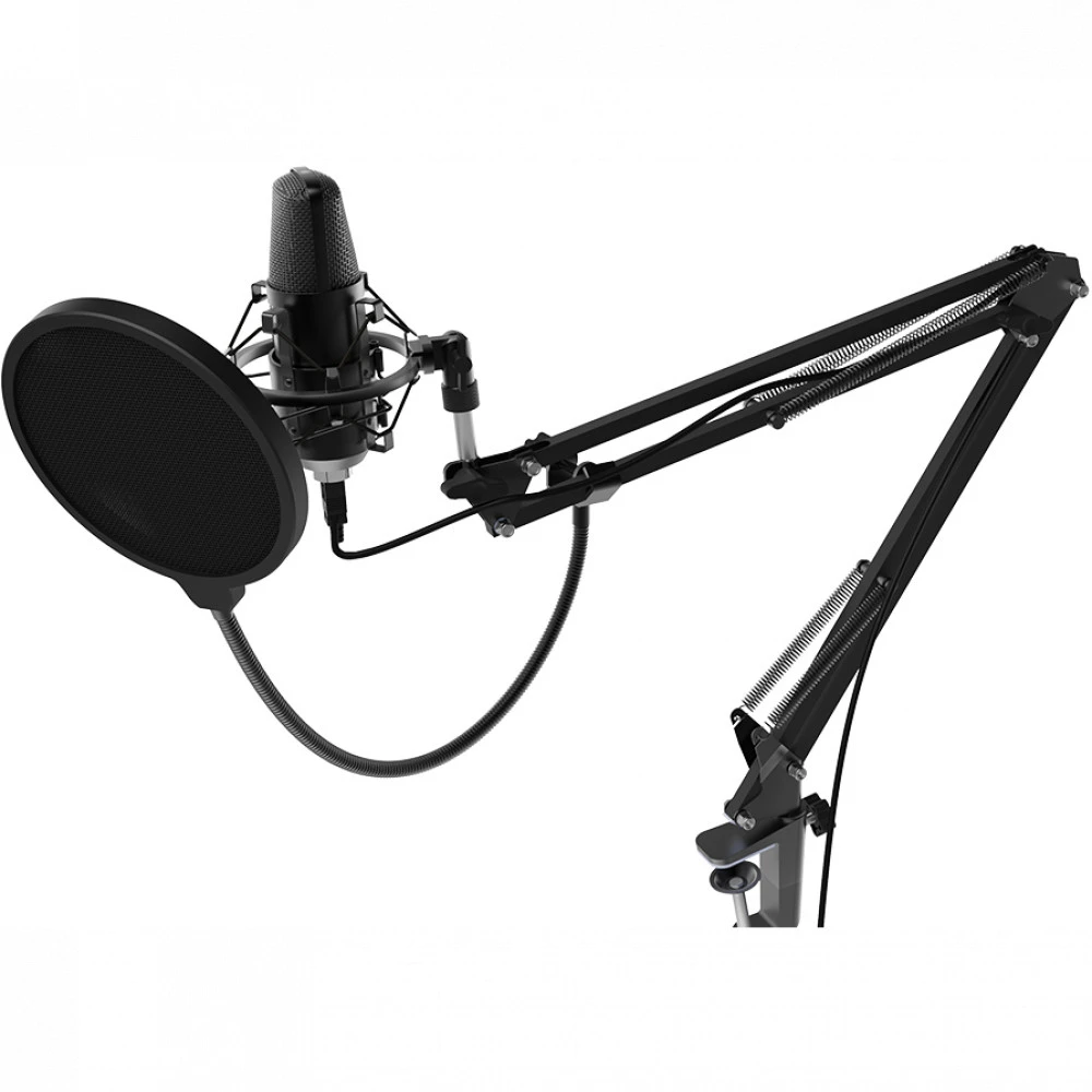 Микрофон Ritmix RDM-169 USB Black