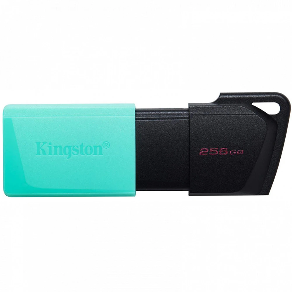 USB флешка (Flash) Kingston DataTraveler Exodia M DTXM/256GB 256 ГБ
