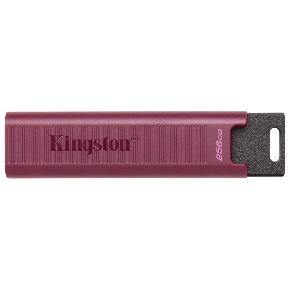 USB флешка (Flash) Kingston DataTraveler Max DTMAXA/256GB 256 ГБ