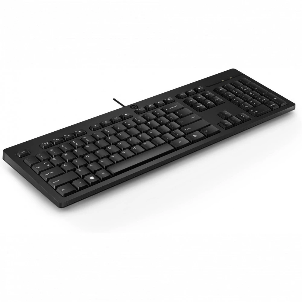 Клавиатура HP 125 USB Wired Keyboard 266C9A6 Проводная, USB