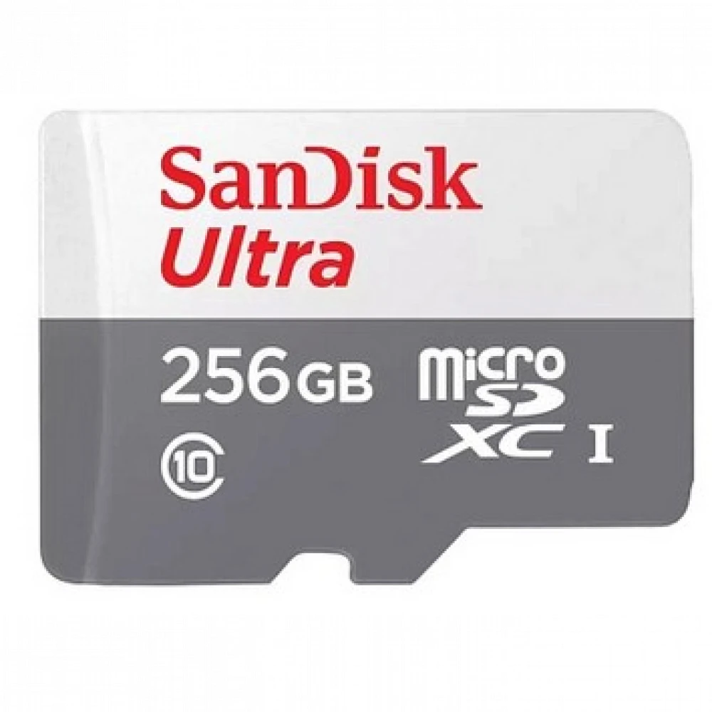 Флеш (Flash) карты SanDisk SDSQUNR-256G-GN3MN 256 ГБ