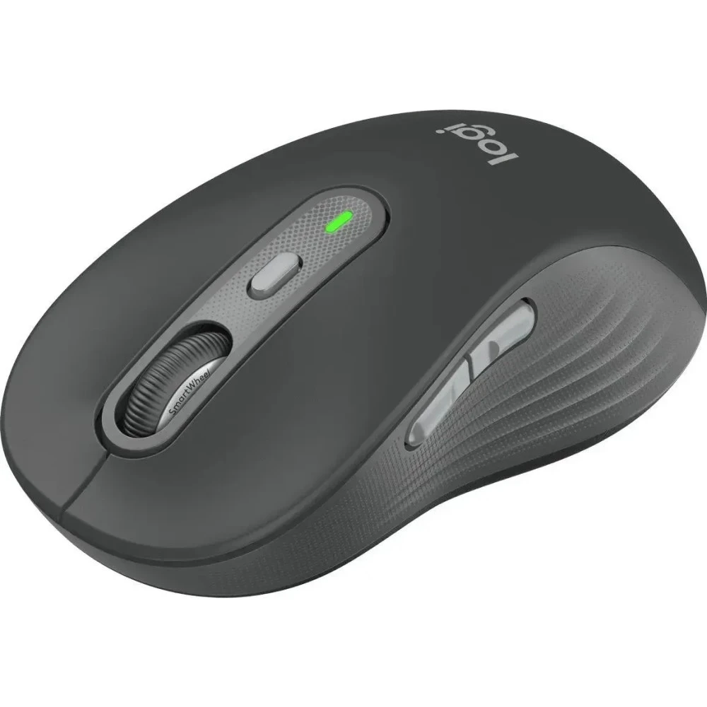 Мышь Logitech Signature M750 L 910-006266