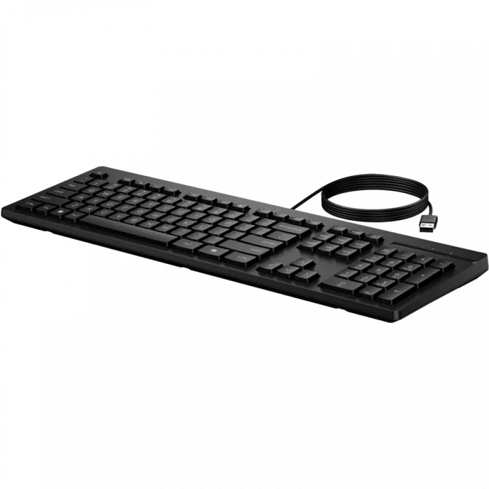 Клавиатура HP 125 G2 AY2Y7AA Проводная, USB