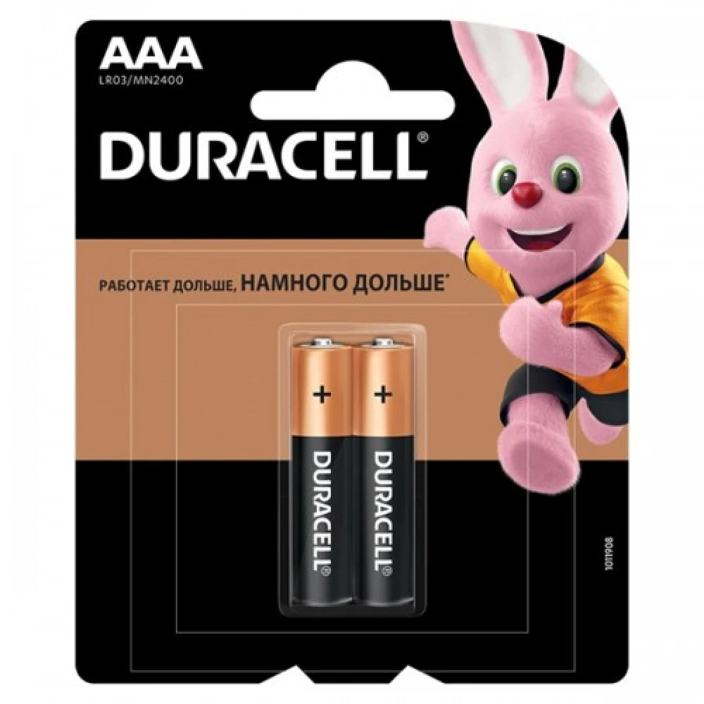 Батарейка Duracell Basic 1.5V LR03/AAA 5000394058170