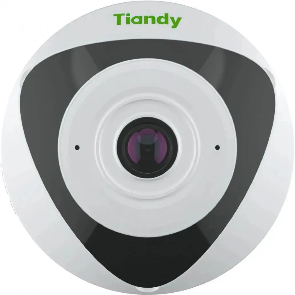 IP видеокамера Tiandy TC-C35VN I3/E/Y/1.4/V4.2 Купольная, Уличная, Проводная, Фиксированный объектив, 1.4 мм, 1/2.7", 5 Мп ~ 2592×1944
