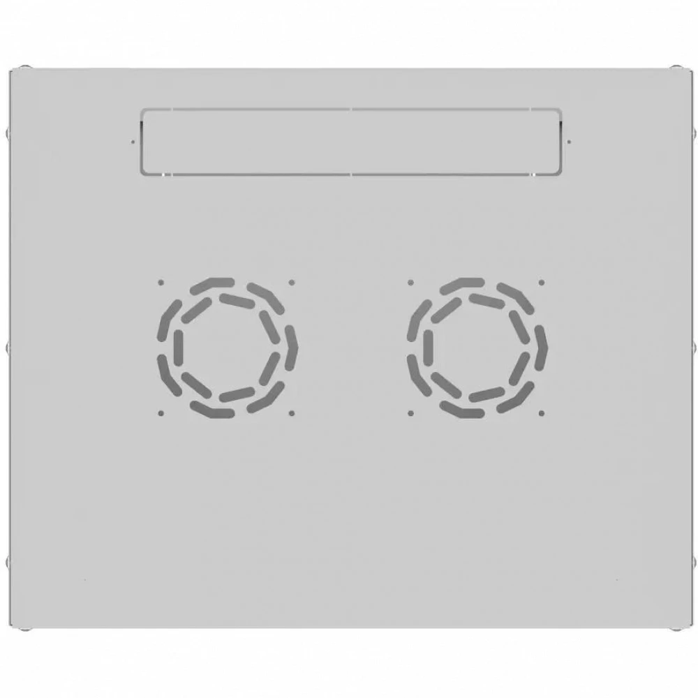 Серверный шкаф NTSS Lime настенный 6U 550x600мм NTSS-WL6U5560GS