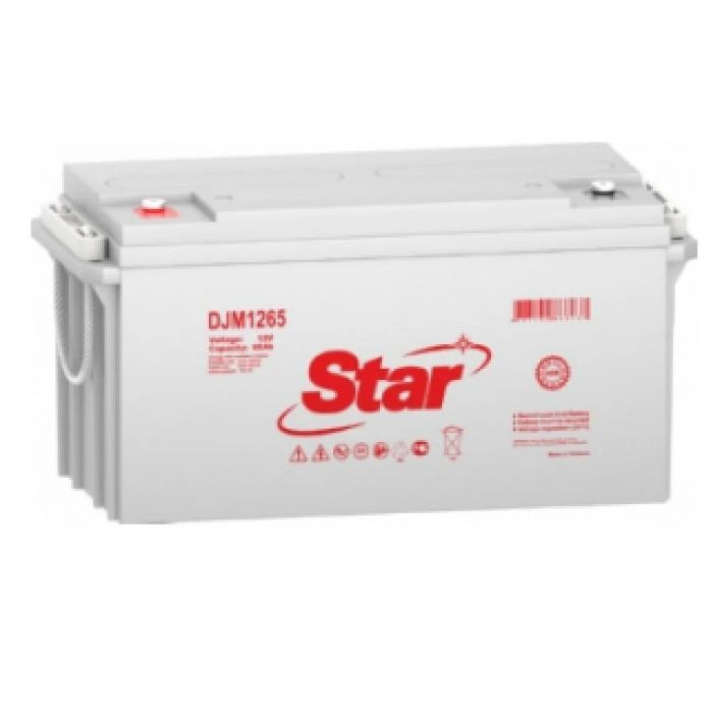 Сменные аккумуляторы АКБ для ИБП Star DJM1265 DJM1265 STAR 12 В
