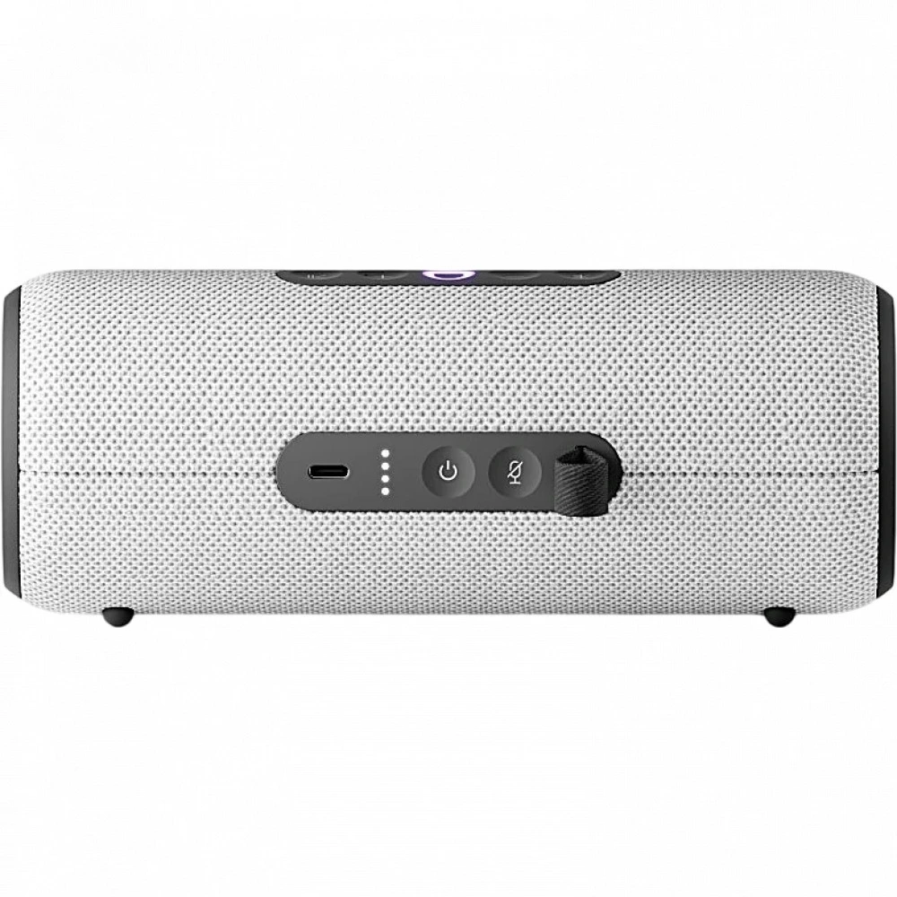 Яндекс Станция Стрит Алиса Серый YNDX-00030GRY